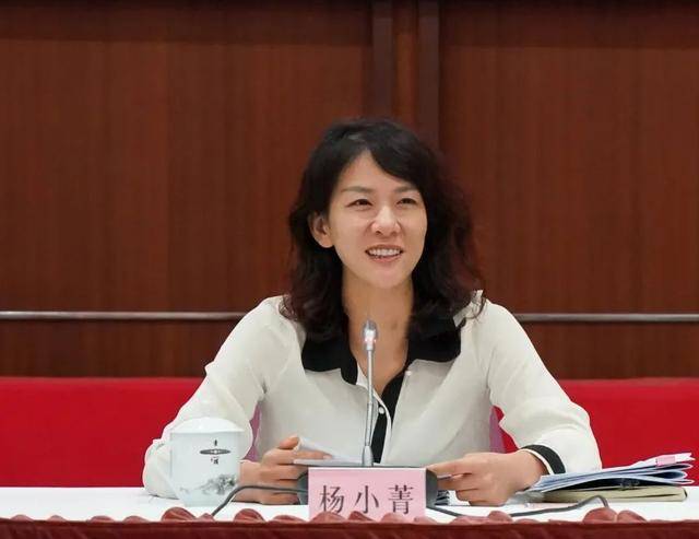杨小菁，已任市长