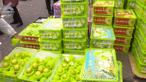 昆明一市场日交易量近2000吨！春节临近，这些水果最受欢迎……