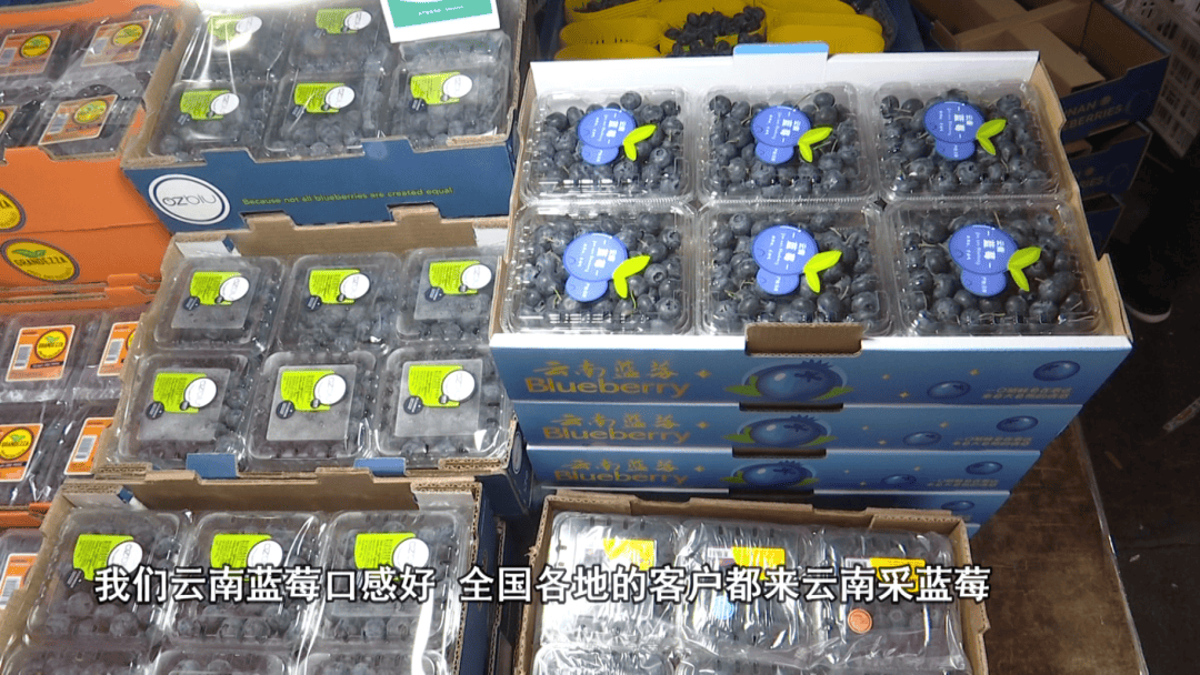 昆明一市场日交易量近2000吨！春节临近，这些水果最受欢迎……