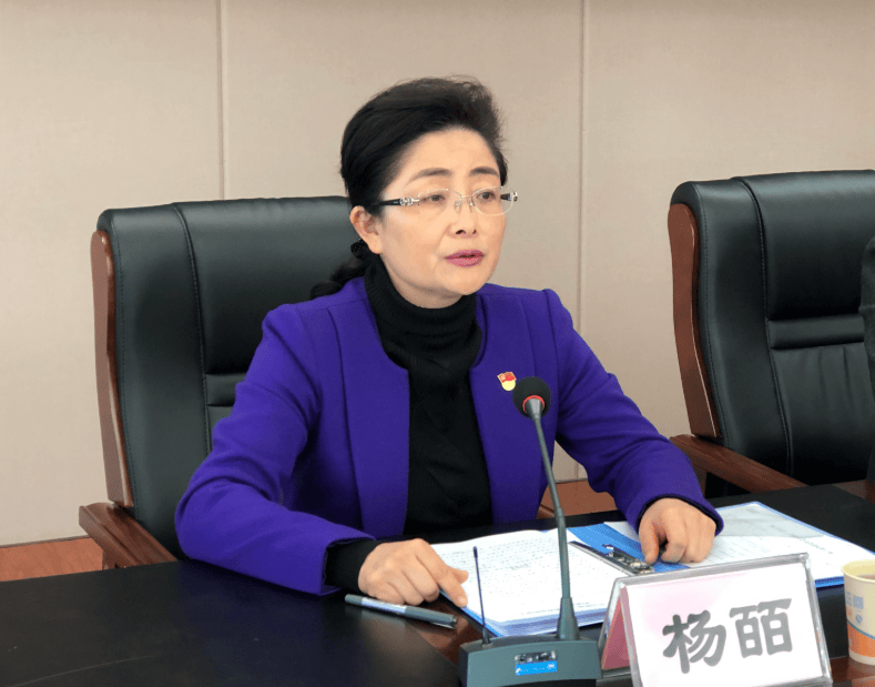 中央提级巡视后，杨皕任上主动投案
