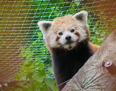 熊猫eth矿场靠谱么的简单介绍