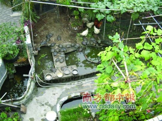 eth鱼池最新地址(鱼池挖到的eth怎么提现)